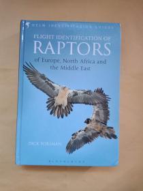 FLIGHF IDENTIFICATION OF RAPTORS猛禽的飞行识别