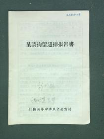 16开，1980年，江陵县革命委员会公安局《呈请拘留逮捕报告书》
