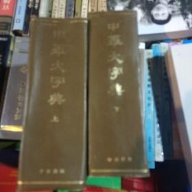 中华大字典(上下)