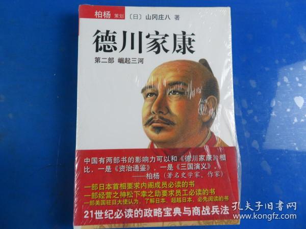 德川家康（第二部）：崛起三河