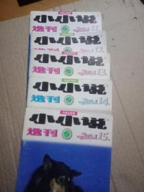 小小说选刊2002、11、12、13、14、15，(5册合售)