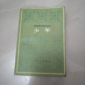 陀思妥耶夫斯基作品集，少年