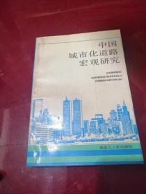 中国城市化道路宏观研究