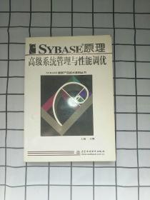 Sybase原理、高级系统管理与性能调优