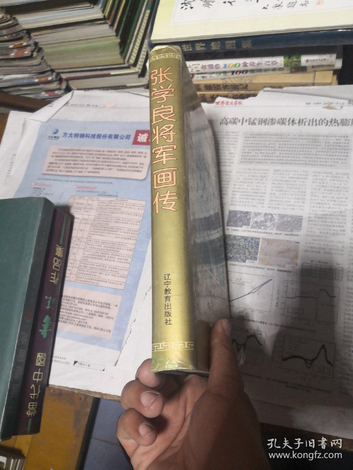 张学良将军画传