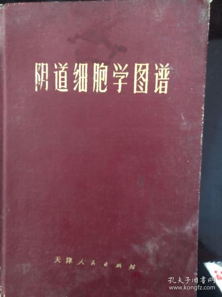 阴道细胞学图谱