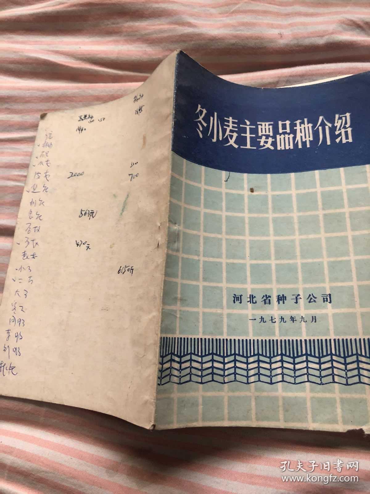 冬小麦主要品种介绍，河北省种子公司1979年9月。