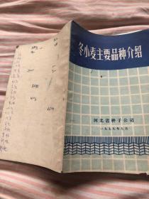 冬小麦主要品种介绍，河北省种子公司1979年9月。