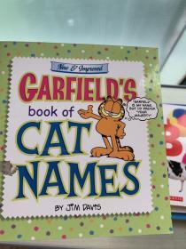 Garfield's Book of Cat Names加菲猫系列 