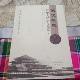 秦汉新城历史文化遗存概览（上下两册）