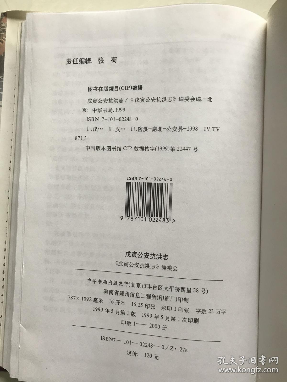 戊寅公安抗洪志