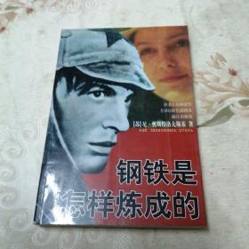 钢铁是怎样炼成的