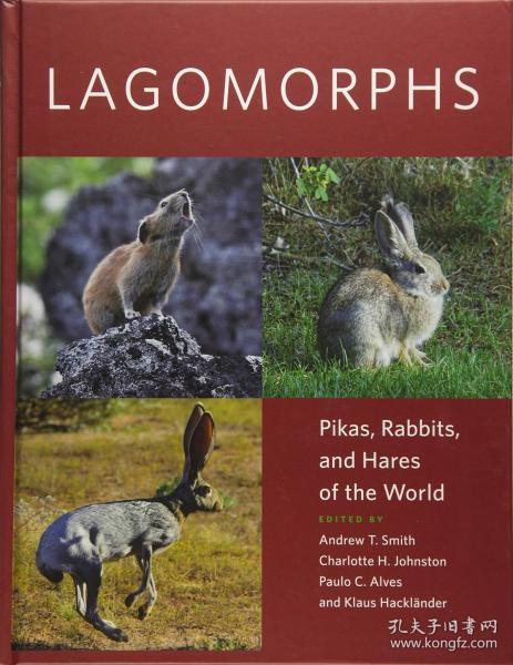 预订 Lagomorphs: Pikas, Rabbits, and Hares of the World  英文原版 兔形目：鼠兔，兔子和野兔 中国兽类野外手册 兔子生物学 动物学