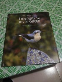 À DESCOBERTA DAS AVES DE PORTUGAL