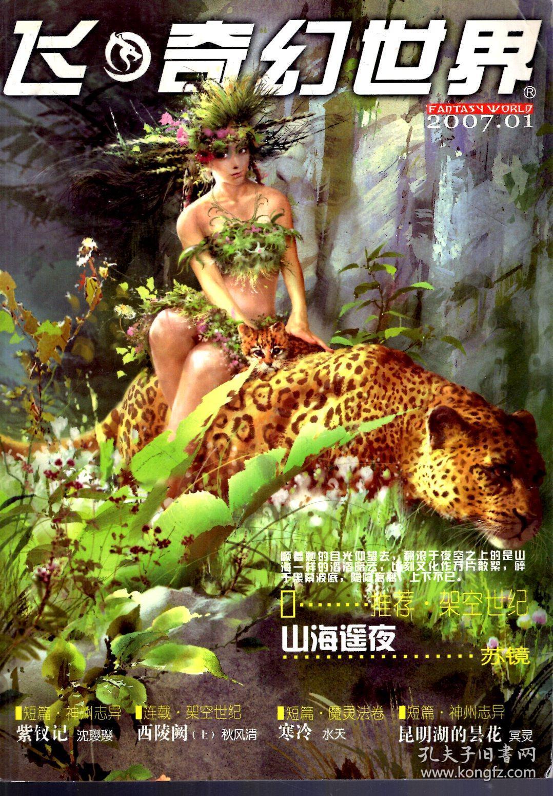 飞奇幻世界2007年第1、2、4、5期 增刊 .4册合售