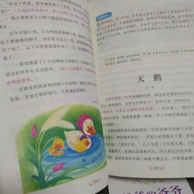 小学生获奖作文/黄冈作文