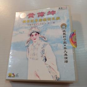 VCD 黄伟坤 新世纪粤剧艺术巨献（6）瑰丽折子戏系列（十三）