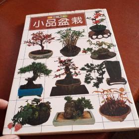 日文书籍，小品盆栽，有折痕，彩色插图版，看图免争议。