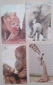日本电话卡～哺乳动物专题-(狮子，大象，猩猩，长颈鹿)母子情/4枚一套（过期废卡，收藏用）