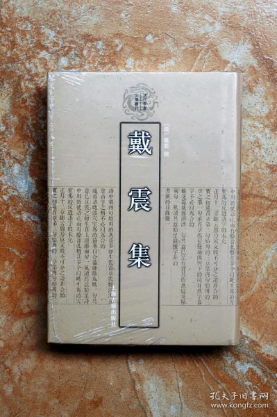 戴震集：清代学者文集丛刊