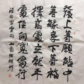 张树明，中国书协会员，四川省书协理事。一九九O年就已获得中国书法界的最高奖项——全国第五界书展全国奖。 书法作品入选：《全国第四届中青年书法家作品展》、《全国 第五届书法家作品展》、《全国第六届中青年书法家作品展》、《全国第八届中青年书法家作品展》《首届国际著名书法家作品展》。作品荣获：四川省人民政府最高奖-＂巴蜀文艺奖＂ ，第五届全国书展全国奖 68x68cm 4781