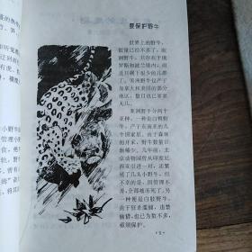 野生动物世界（一版一印，印数一千）