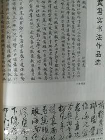 画页—--书法--黄君黄君实书法作品（小楷横披、行草横披局部、草书条幅、行书中堂 ）380