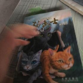 预视力量：猫武士三部曲之（1、2、4、5、6册）合售（缺3册）