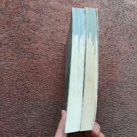 来自民间的叛逆 (上下册)