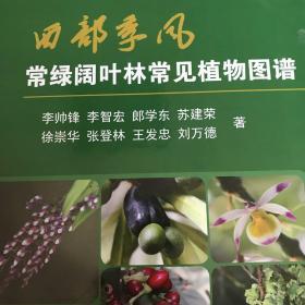 西部季风常绿阔叶林常见植物图谱