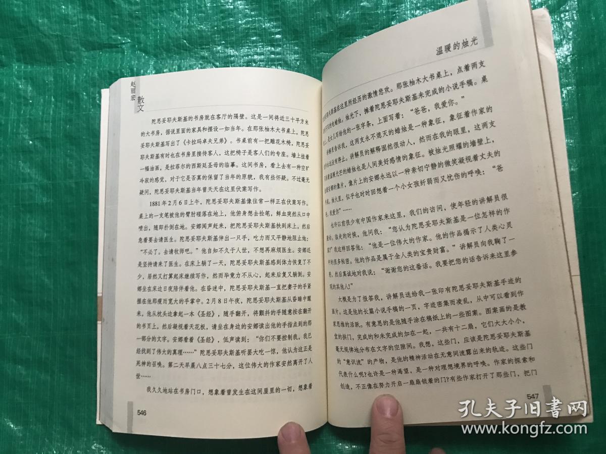 赵丽宏散文（上册）