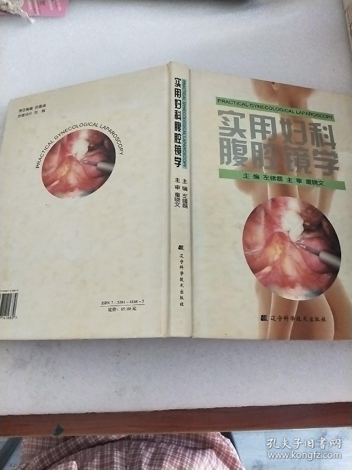 实用妇科腹腔镜学