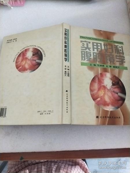 实用妇科腹腔镜学