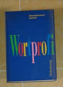 德文原版 Schulwörterbuch Deutsch Wortprofi