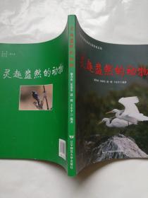 葳蕤多姿的动物