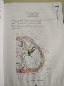 危险穴位临床解剖学