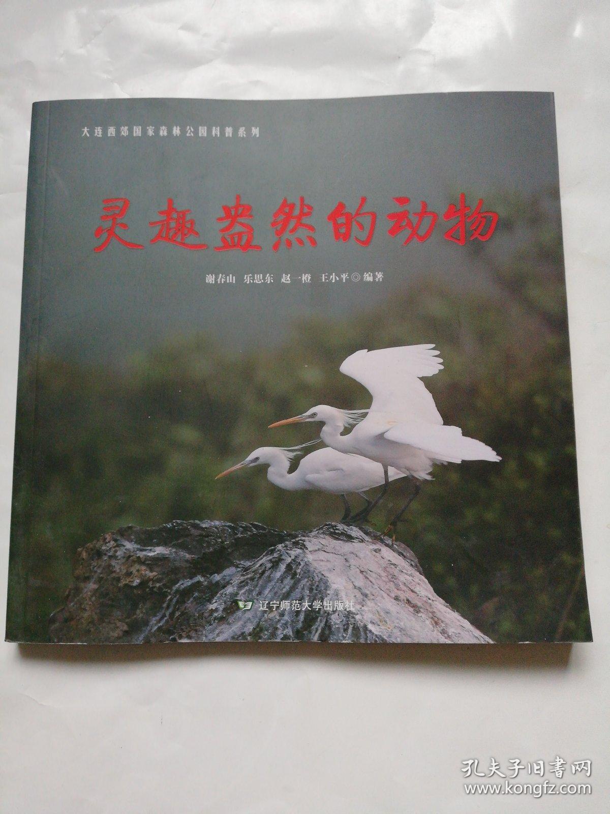 葳蕤多姿的动物