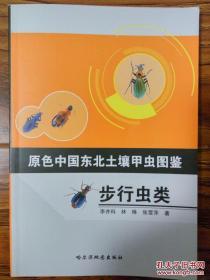 原色中国东北土壤甲虫图鉴-步行虫类