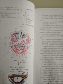 危险穴位临床解剖学