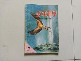 少年科学 1995年第12期