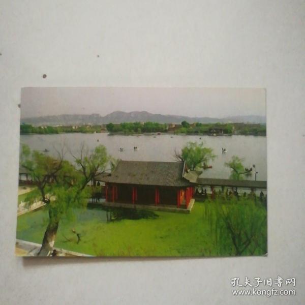 (明信片)大明湖