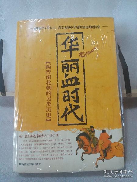 华丽血时代：两晋南北朝的另类历史