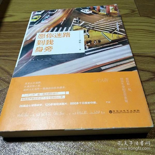 愿你迷路到我身旁