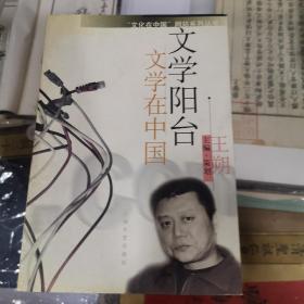 文学阳台:文学在中国