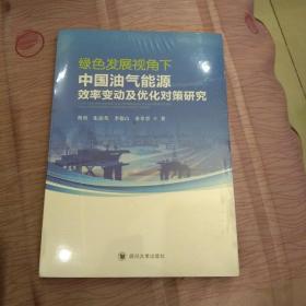 绿色发展视角下中国油气能源效率变动及优化对策研究