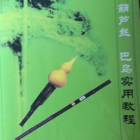 葫芦丝 巴乌实用教程