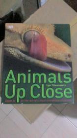 ANIMALS UP CLOSE  DK 系列