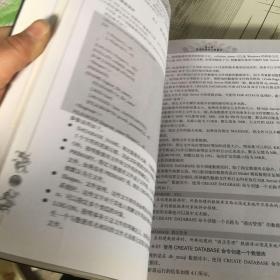 软件工程师典藏：SQL语言参考大全