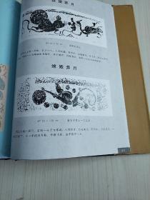 南阳闻天