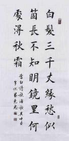 【带合影】当代实力书法家 黄老师《秋浦歌其十五》SF2451